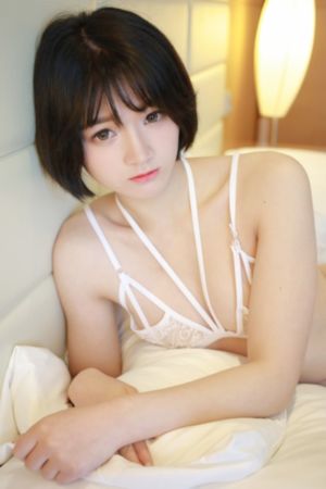 嫂的职业_BD电视剧在线观看